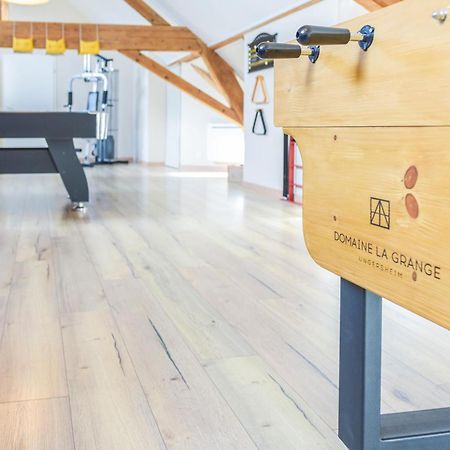 Domaine La Grange Ungersheim - Gite La Grange 5 Etoiles Kültér fotó